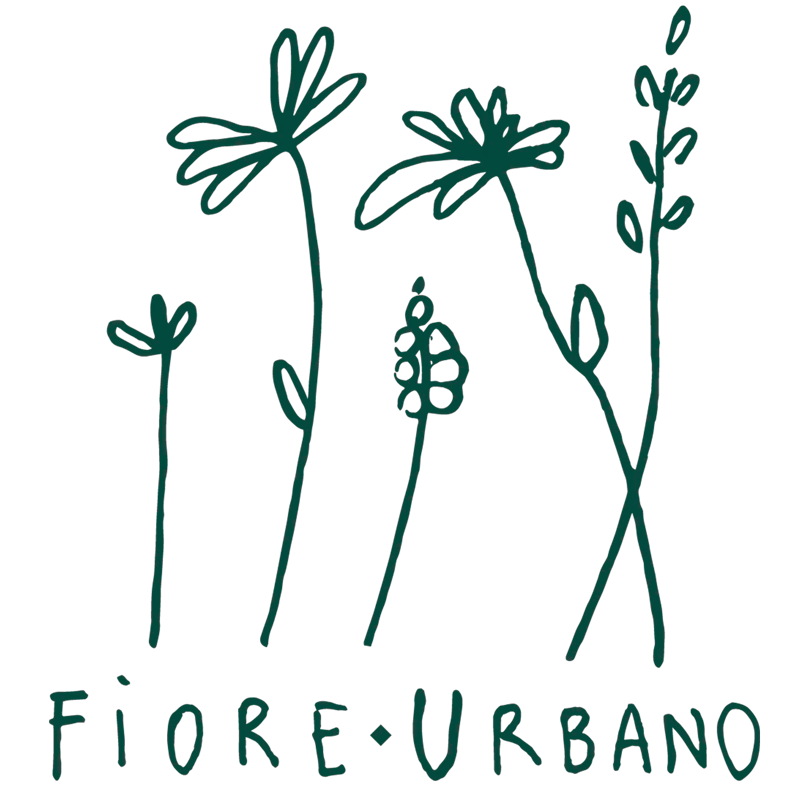 Fiore-urbano